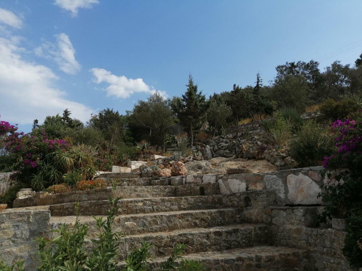 Artemis Villa Near Athens Airport Markópoulon Екстериор снимка
